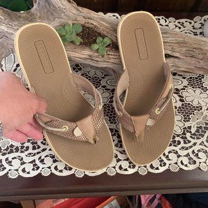 NIB Sperry Top Sider Women Sandals Flip Flop Thong Brown 7